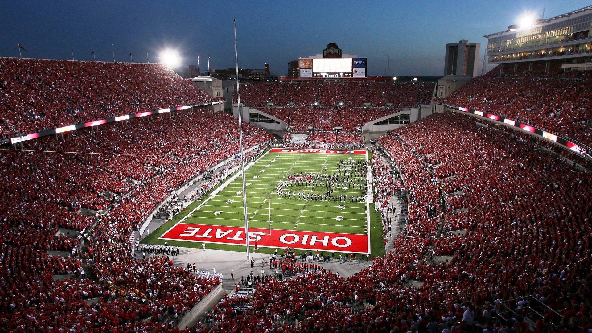 “南非羚羊队的宝贵资产：诺克·达维德·彼得森的非凡天赋”